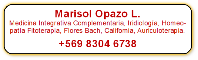 Marisol Opazo L.