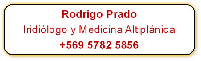 Rodrigo Prado